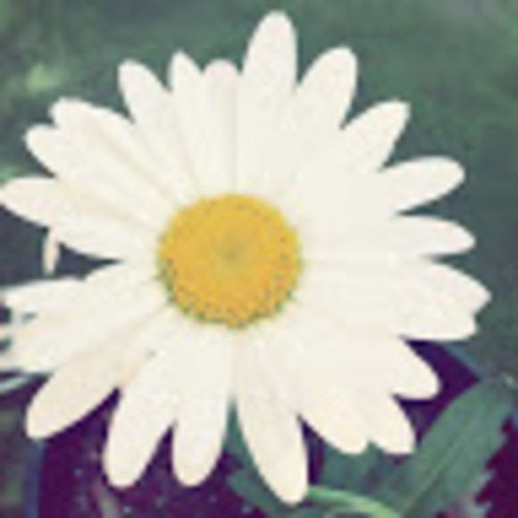 Meet your Posher, Maria - Picture 1 of 1